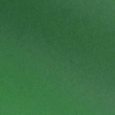Foglia