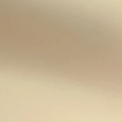 biscuit