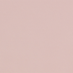 blady róż