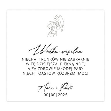 Naklejki na alkohol Misty w105